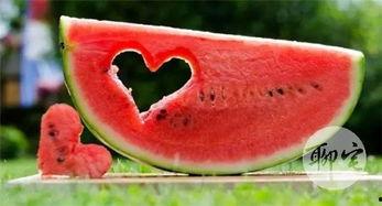 梦幻吃瓜提提子,探寻梦幻吃瓜的奇幻之旅