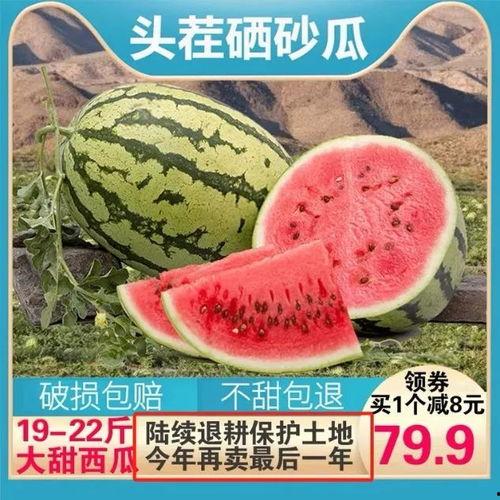 探索吃瓜,揭秘夏日消暑美食的奥秘与魅力