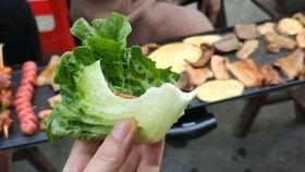 烤肉 吃瓜,吃瓜乐趣无限