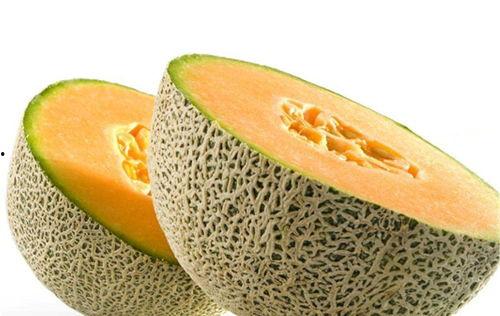 开栅吃瓜,夏日里的悠闲时光