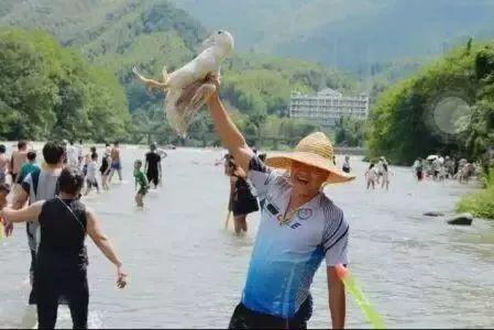 超级吃瓜大赛游戏,一场全民狂欢的瓜界盛宴