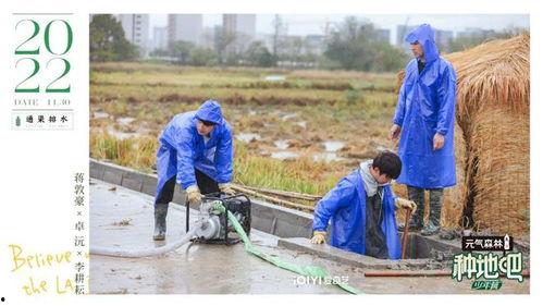 后 我天天吃瓜 种田,我的田园食趣日常