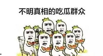 京东吃瓜群众