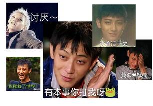 自信的吃瓜,笑对人生百态